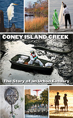 coney island creek
