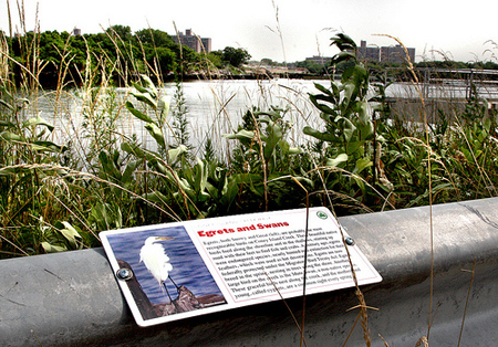 creekMarkers creekMarkers