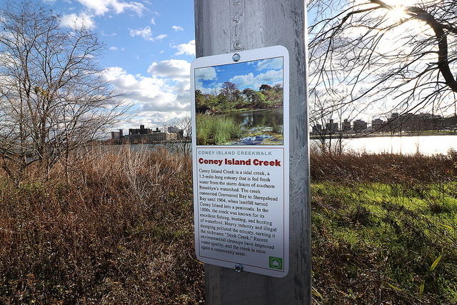 CreekWalk photo copyright Charles Denson