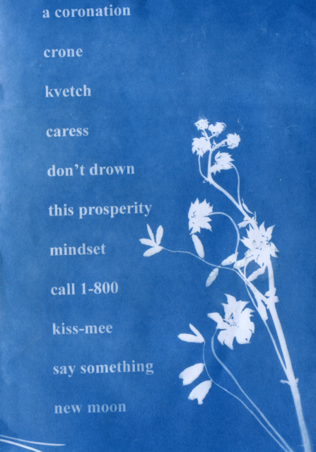 Cyanotype by Amanda Deutch